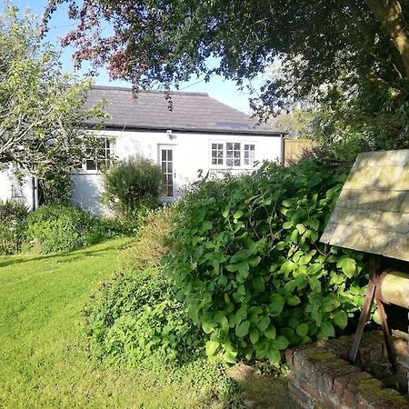 Cozy Country Cottage With Beautiful Rural Views 新码头 外观 照片